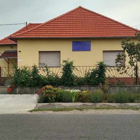 Abigel Apartman Mórahalom Exteriör bild